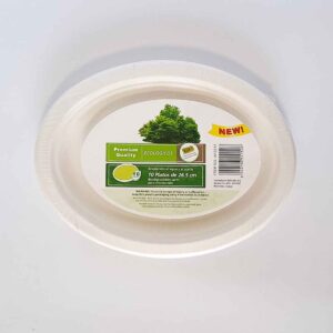 FUENTE DESCARTABLE ECO 20 X 27cm10 unidades